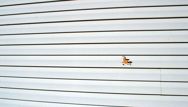 Inspecting Existing Siding